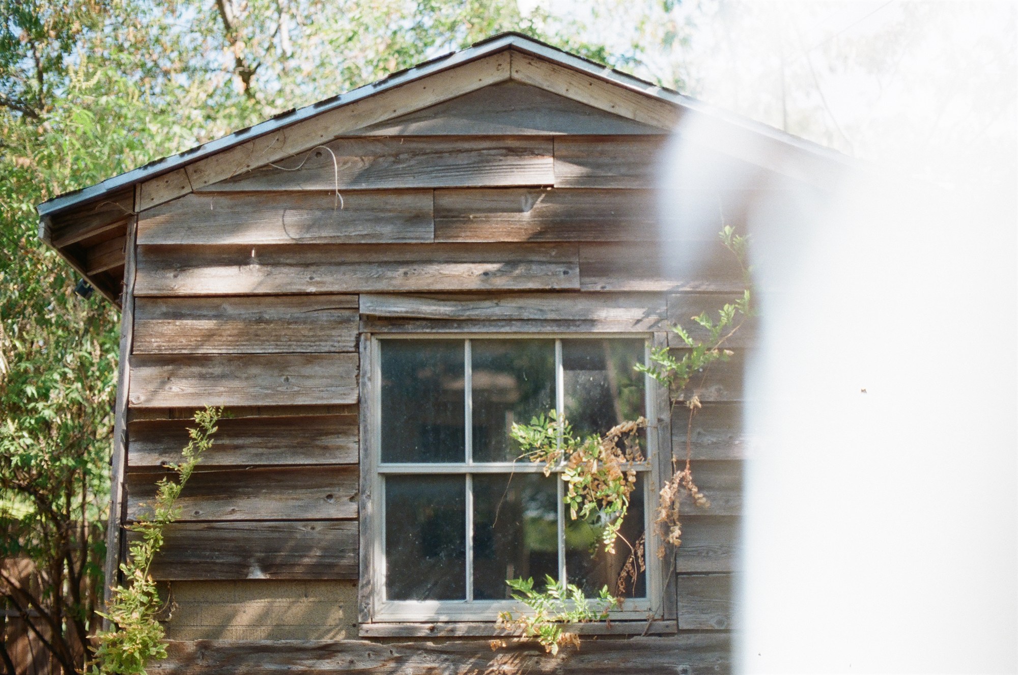 A weathered shed wall and small window in bright sun